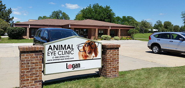 Animal Eye Clinic