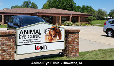 Animal Eye Clinic, Hiawatha, IA